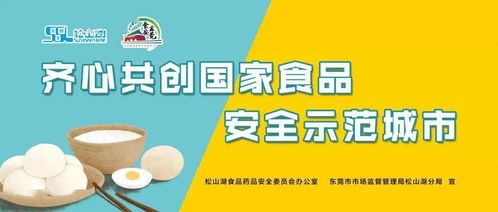 創(chuàng)食安城，食安守護——松山湖食品安全體驗活動邀您共筑健康生活